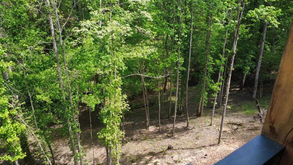 677 Catawba Circle, Ellijay GA 30540 - Photo