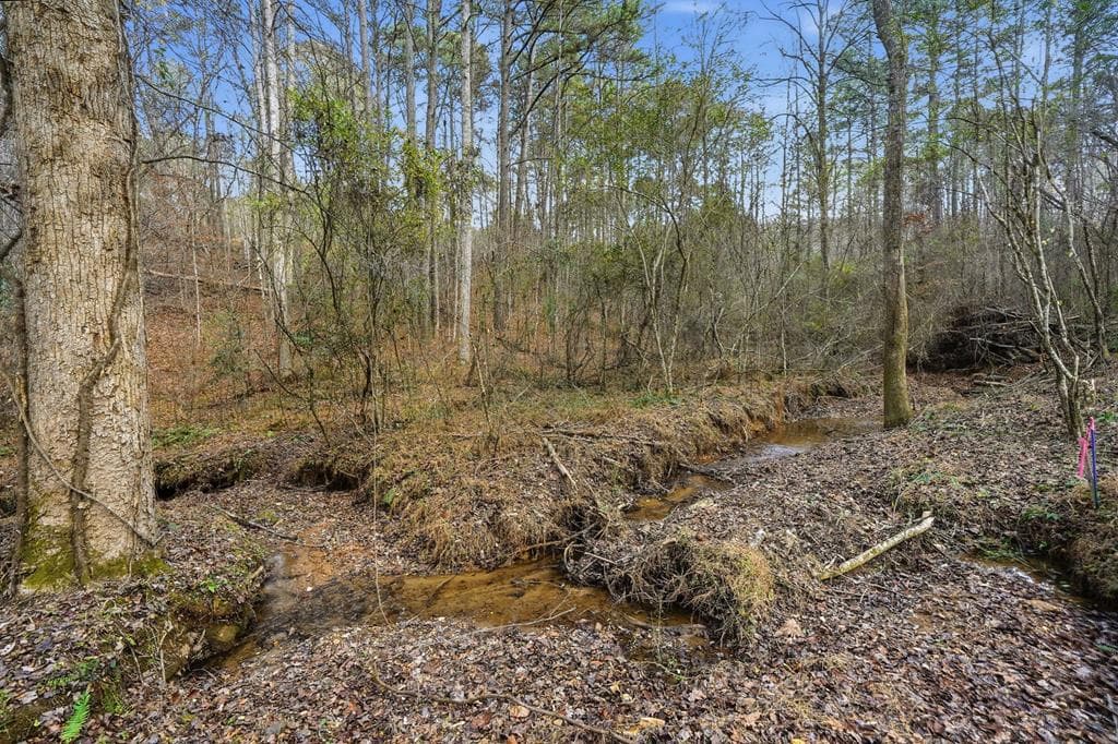 677 Catawba Circle, Ellijay GA 30540 - Photo