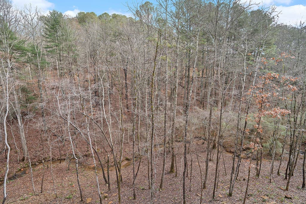 677 Catawba Circle, Ellijay GA 30540 - Photo