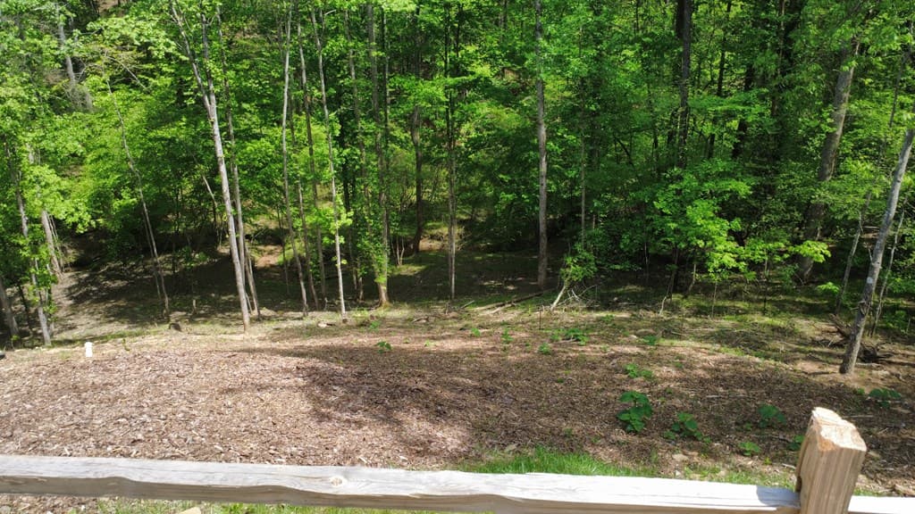 677 Catawba Circle, Ellijay GA 30540 - Photo