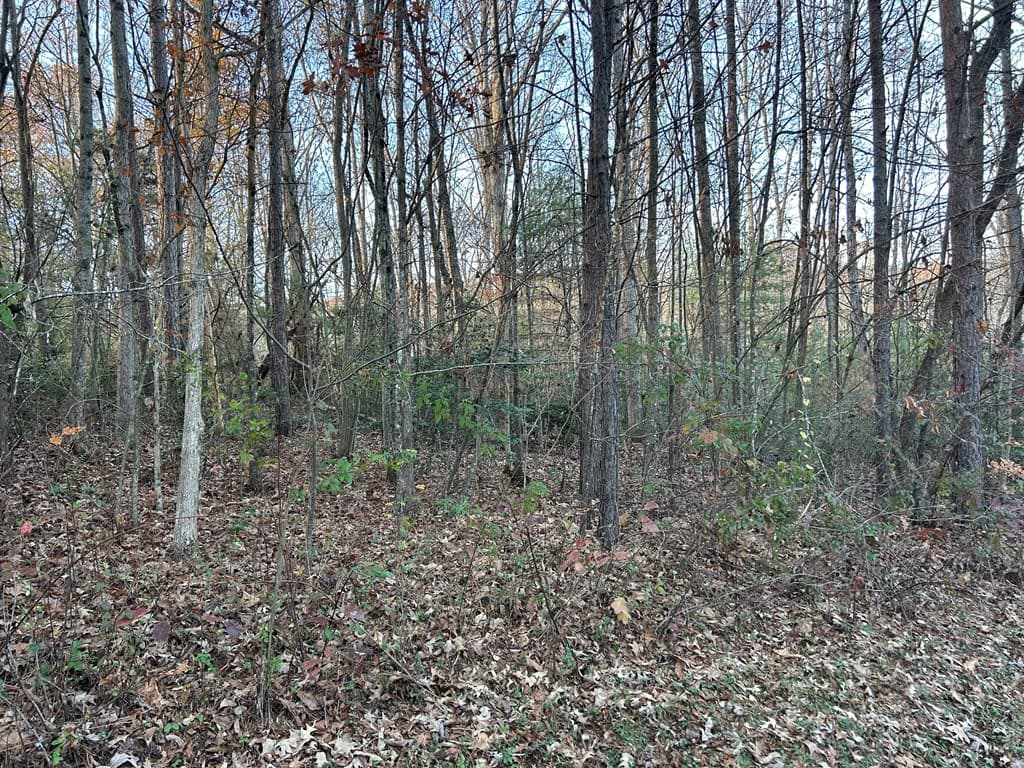 Lot 11 Tombstone Drive, Blairsville GA 30512 - Photo