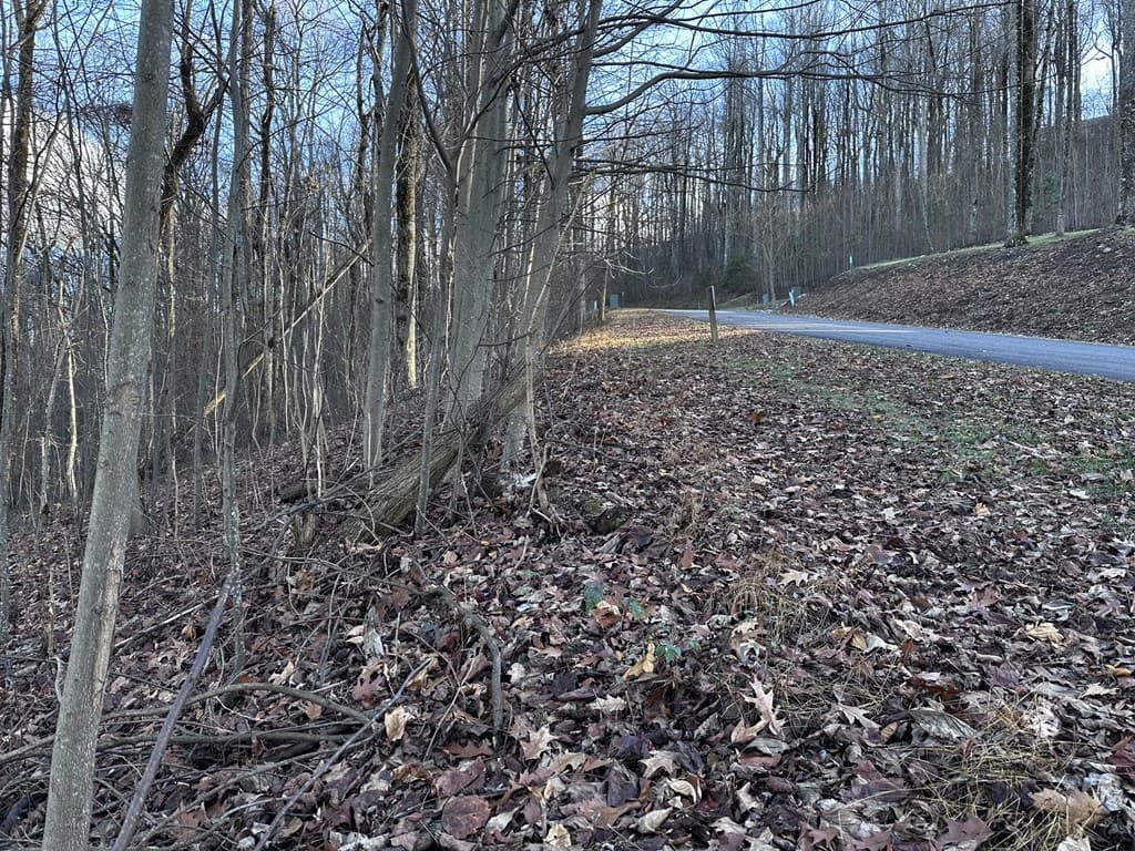 281 Andes Ridge, Ellijay GA 30536 - Photo