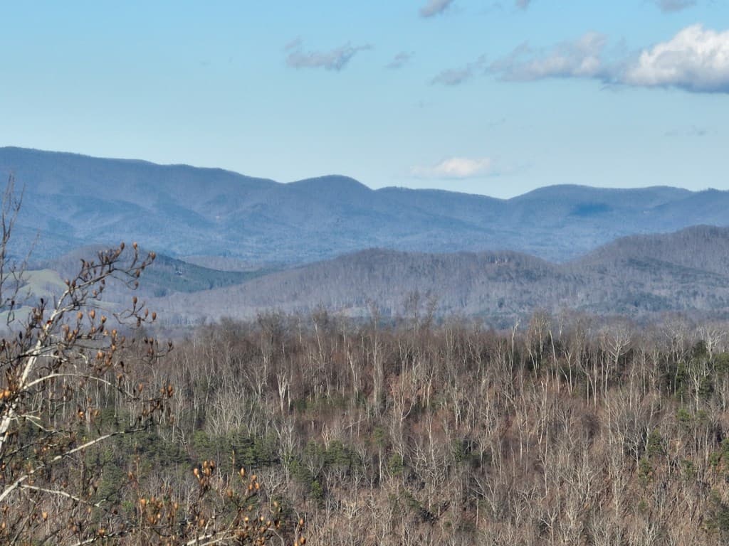 281 Andes Ridge, Ellijay GA 30536 - Photo