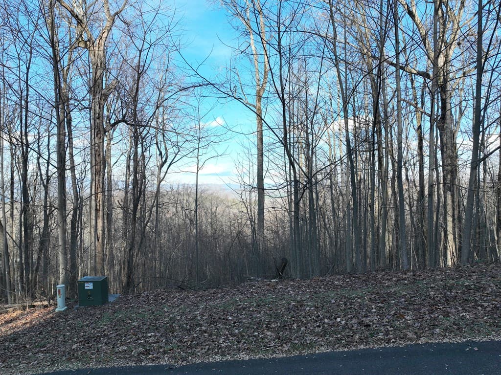 281 Andes Ridge, Ellijay GA 30536 - Photo