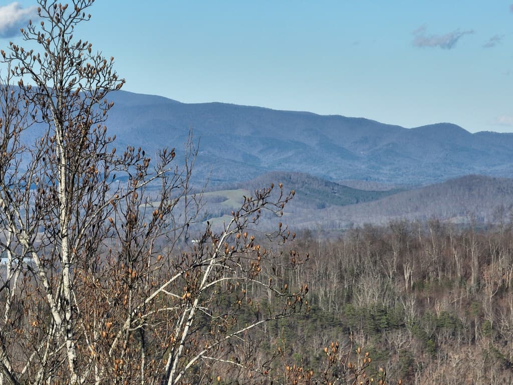 281 Andes Ridge, Ellijay GA 30536 - Photo