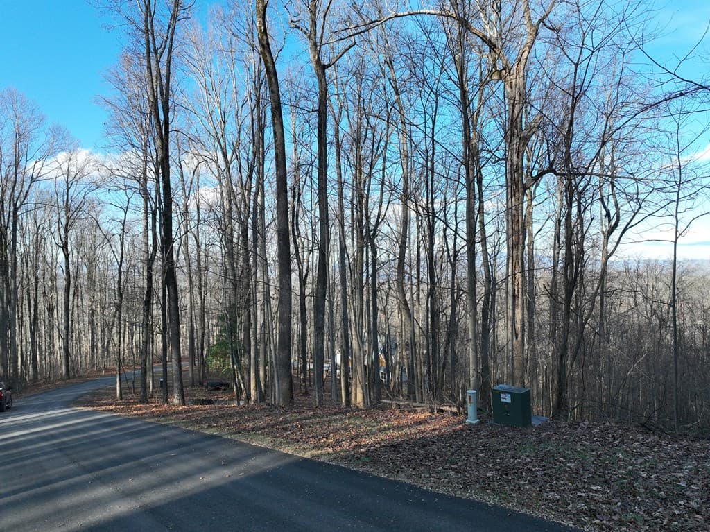 281 Andes Ridge, Ellijay GA 30536 - Photo