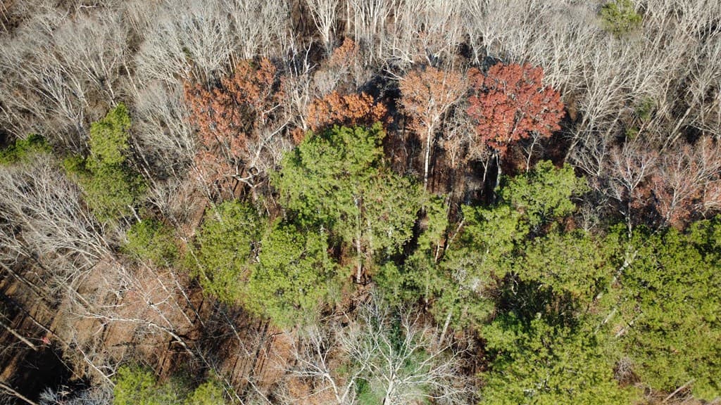 00001 Hwy 369, Ball Ground GA 30107 - Photo