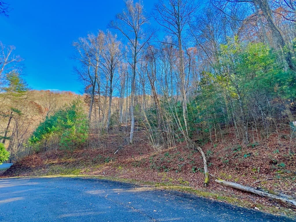 22 Walker Ridge, Mineral Bluff GA 30559 - Photo