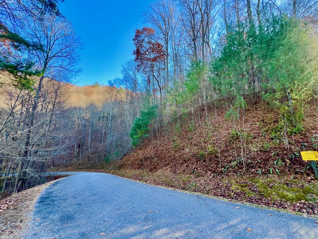 22 Walker Ridge, Mineral Bluff GA 30559 - Photo