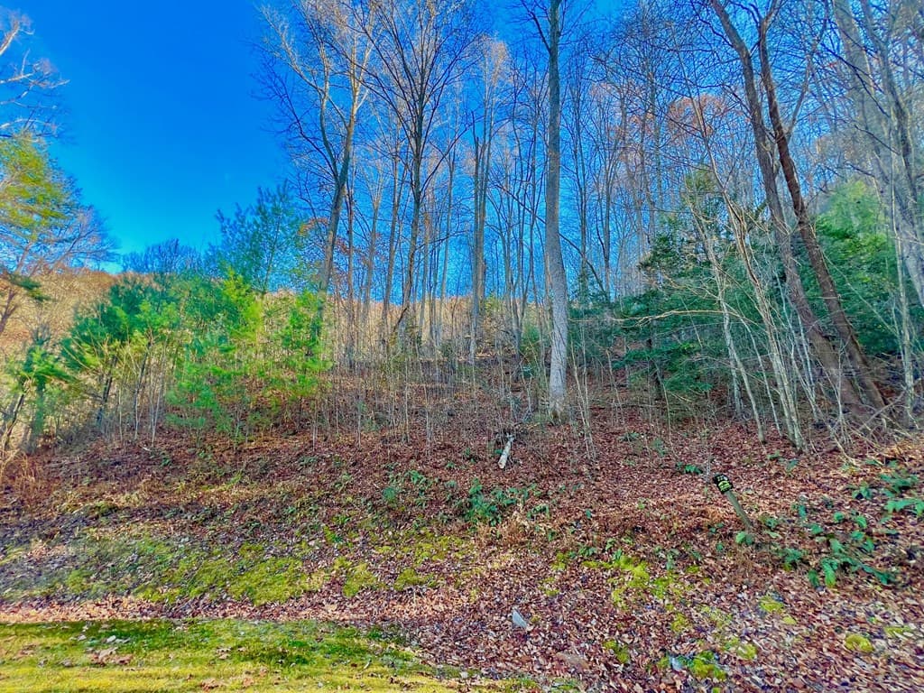 22 Walker Ridge, Mineral Bluff GA 30559 - Photo