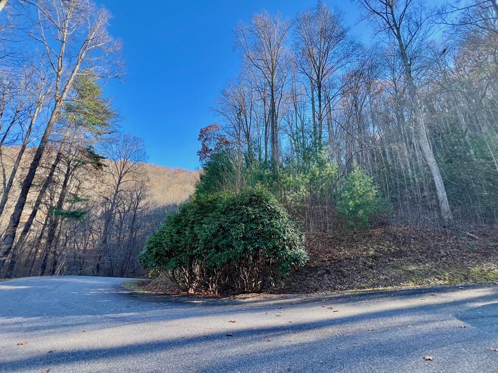22 Walker Ridge, Mineral Bluff GA 30559 - Photo