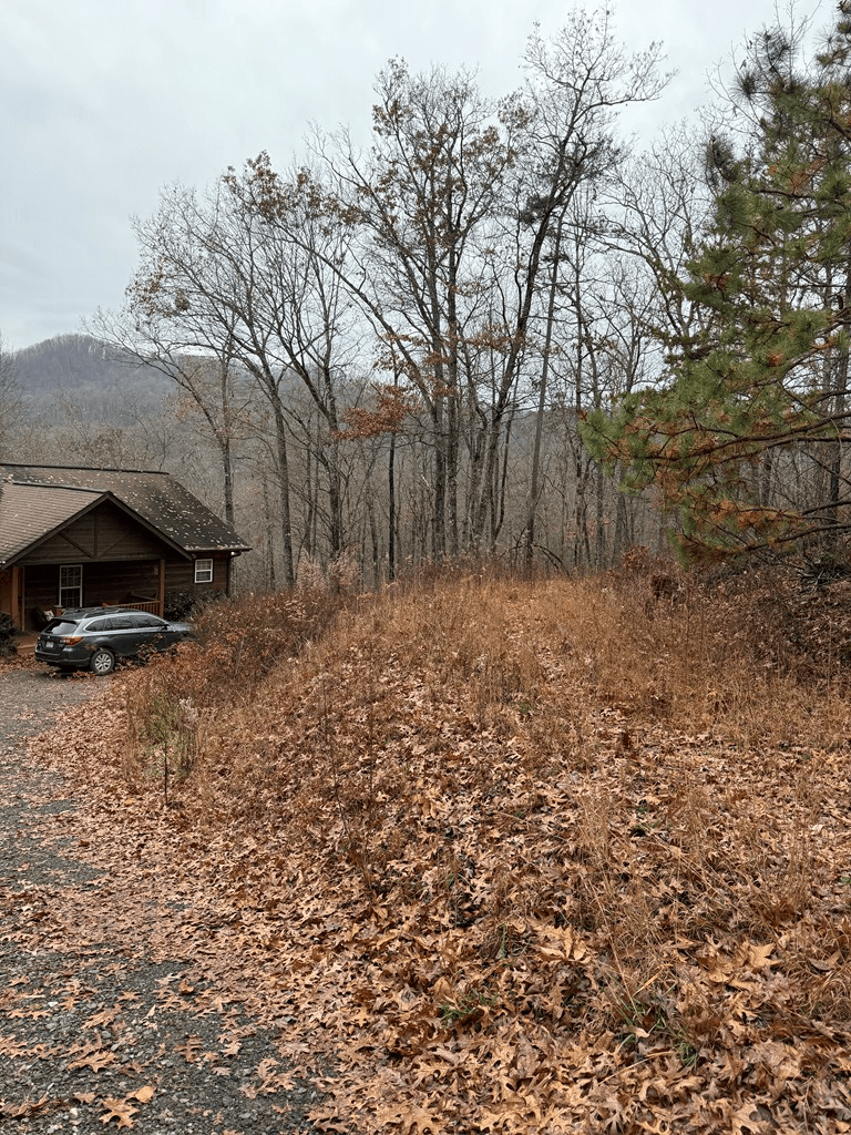101 Flaming Ridge, Hayesville NC 28904 - Photo