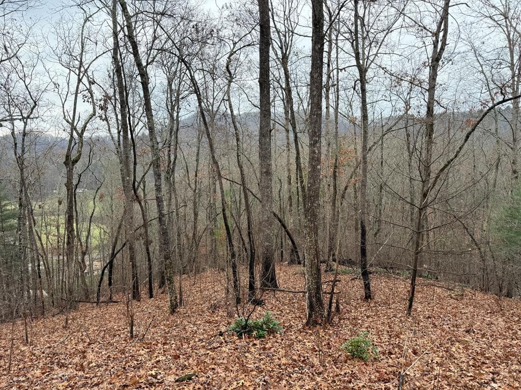 101 Flaming Ridge, Hayesville NC 28904 - Primary photo