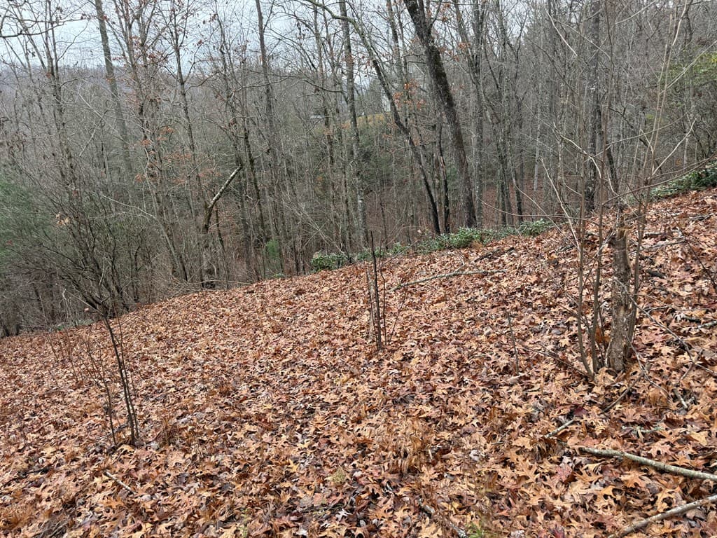 101 Flaming Ridge, Hayesville NC 28904 - Photo