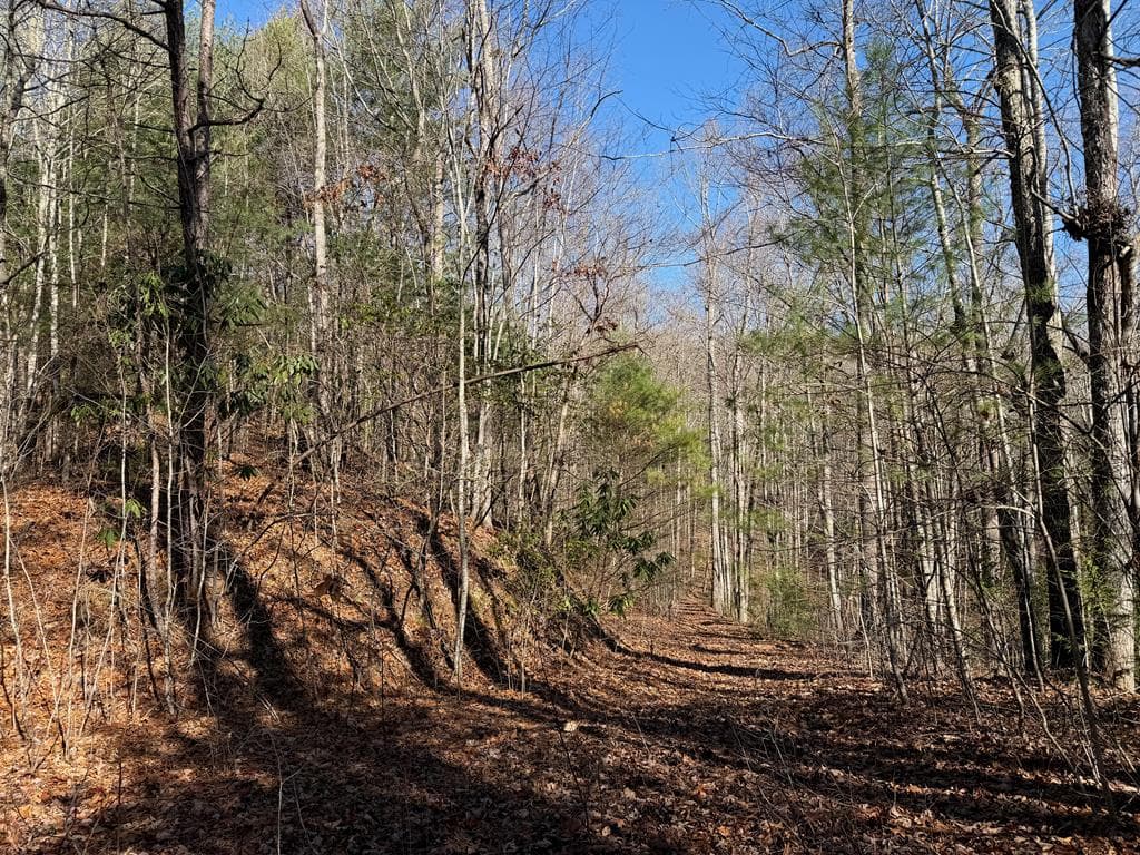 135.49ac Webb Creek Road, Andrews NC 28901 - Photo