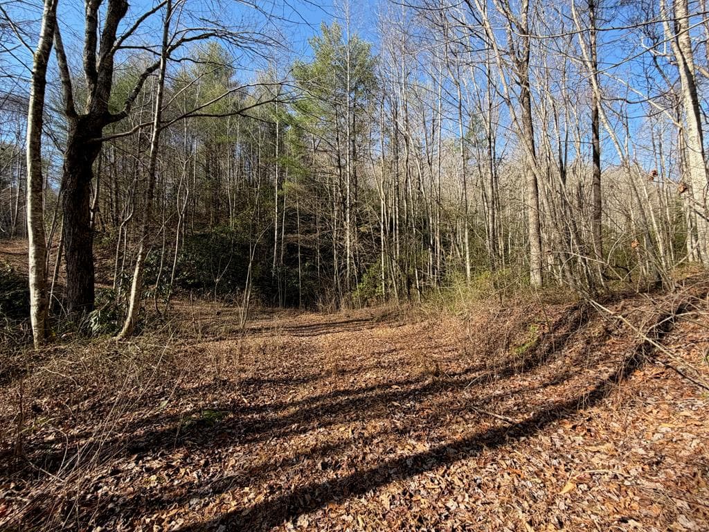 135.49ac Webb Creek Road, Andrews NC 28901 - Photo
