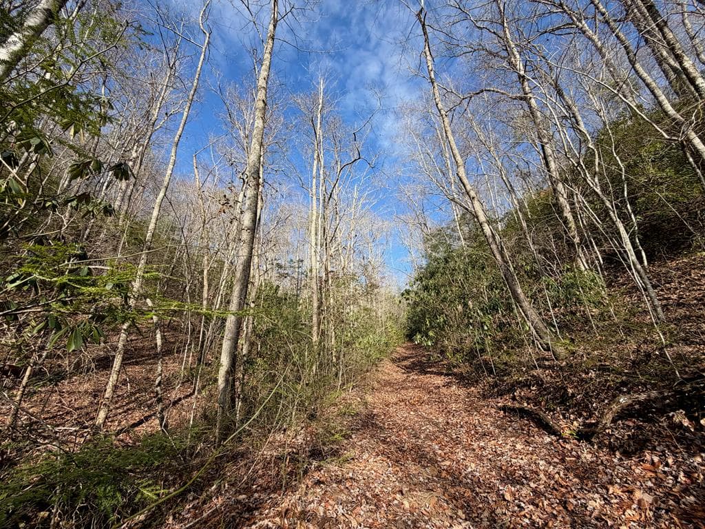 135.49ac Webb Creek Road, Andrews NC 28901 - Photo
