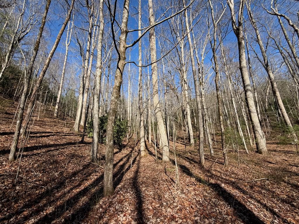 135.49ac Webb Creek Road, Andrews NC 28901 - Photo