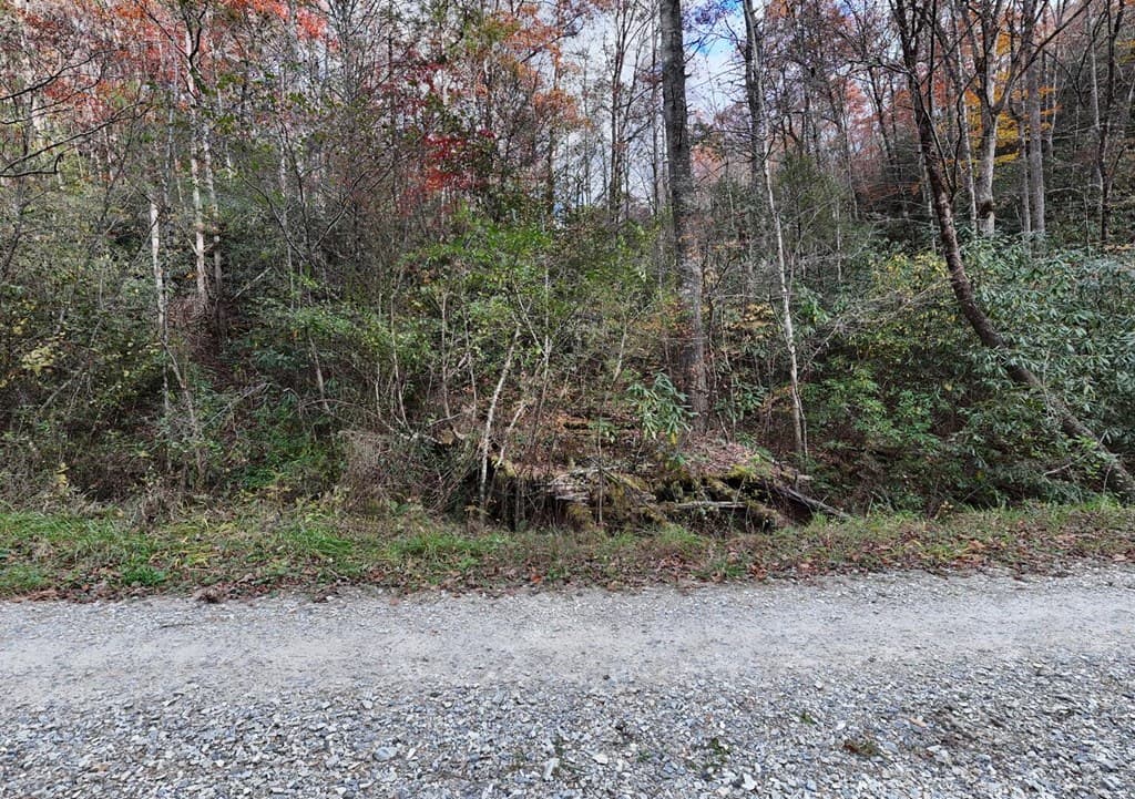 135.49ac Webb Creek Road, Andrews NC 28901 - Photo