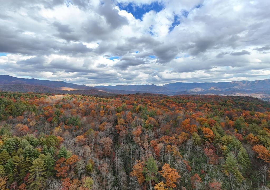 135.49ac Webb Creek Road, Andrews NC 28901 - Photo