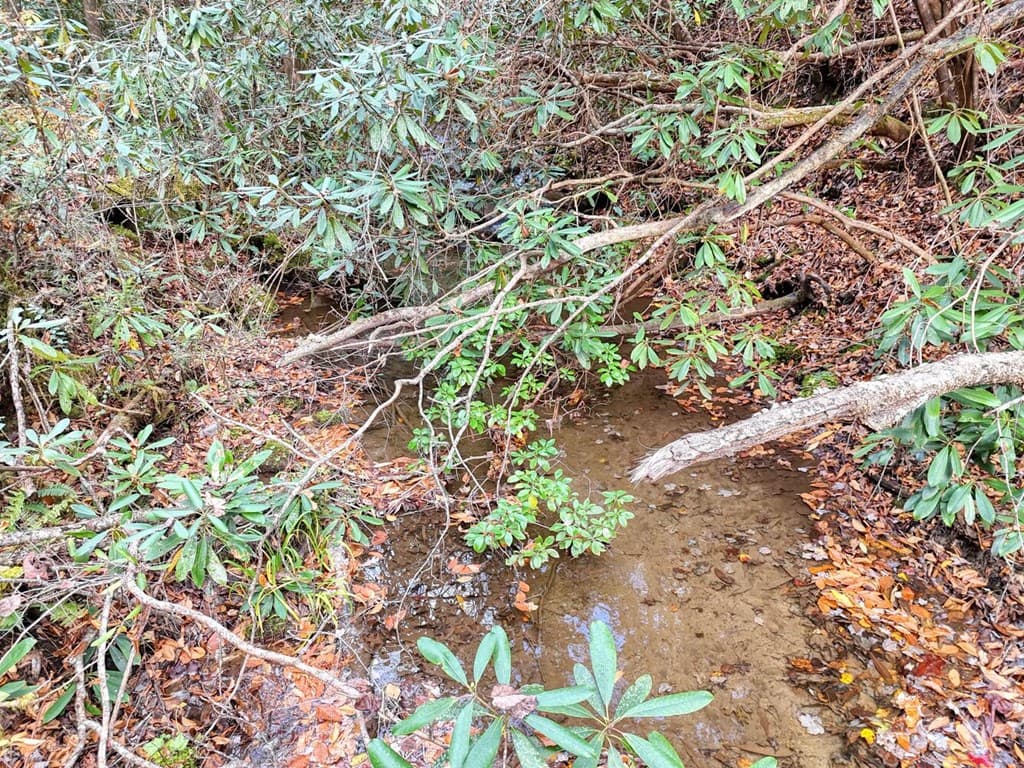 135.49ac Webb Creek Road, Andrews NC 28901 - Photo