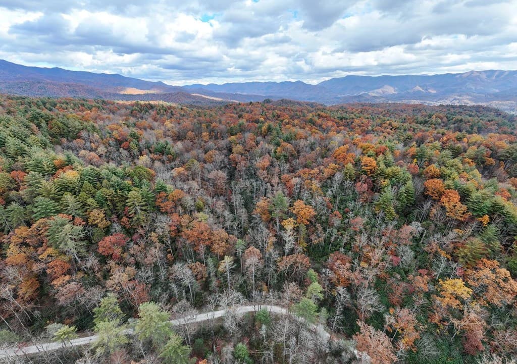 135.49ac Webb Creek Road, Andrews NC 28901 - Photo