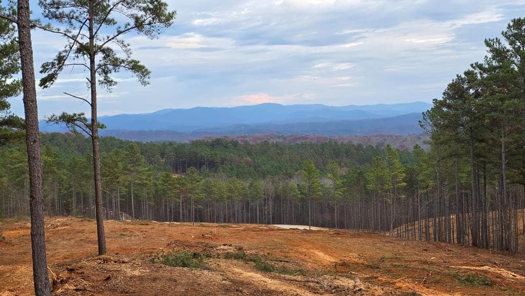 108 Staunton Court, Ellijay GA 30540 - Photo
