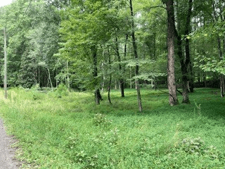 LT 3505R Castle Court, Ellijay GA 30540 - Photo
