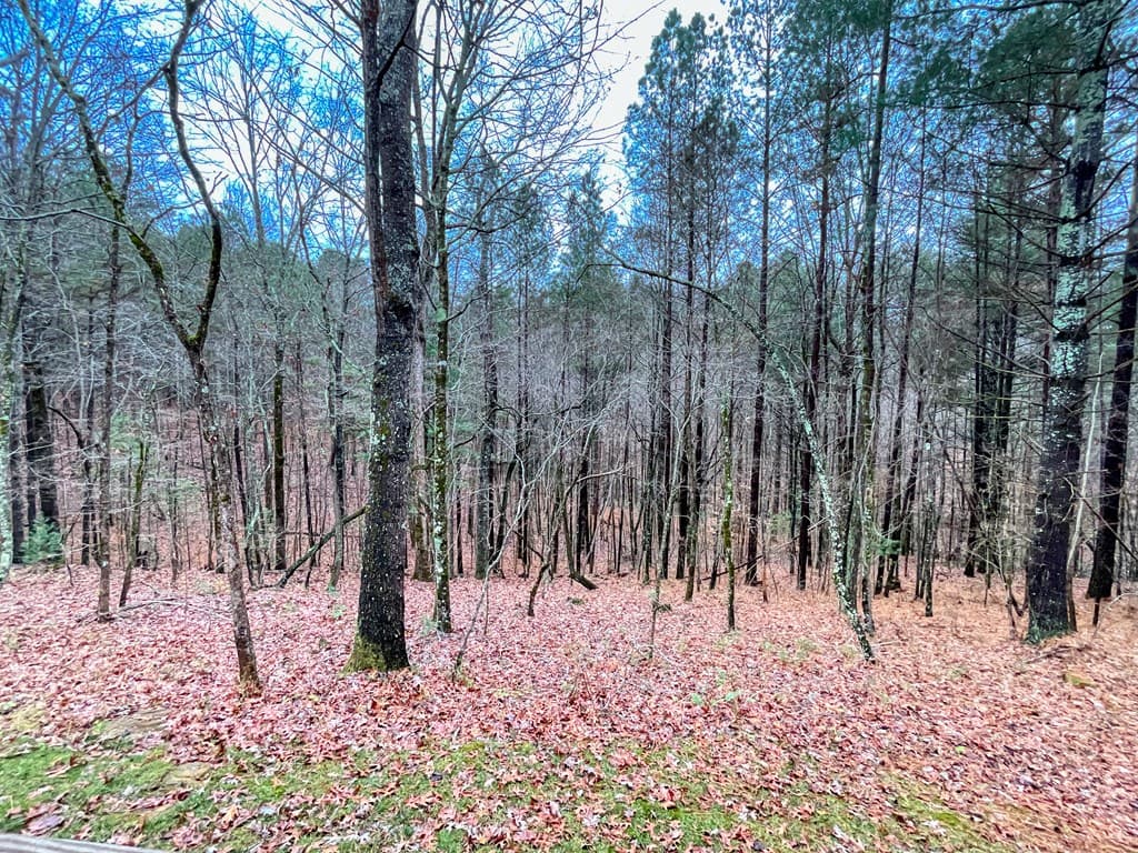 60 Mossy Oak Court, Ellijay GA 30540 - Photo
