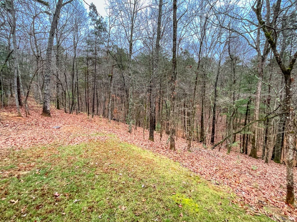 60 Mossy Oak Court, Ellijay GA 30540 - Photo