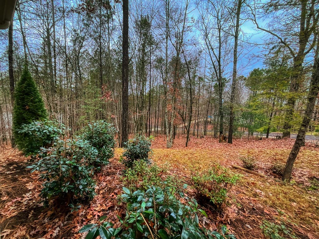 60 Mossy Oak Court, Ellijay GA 30540 - Photo