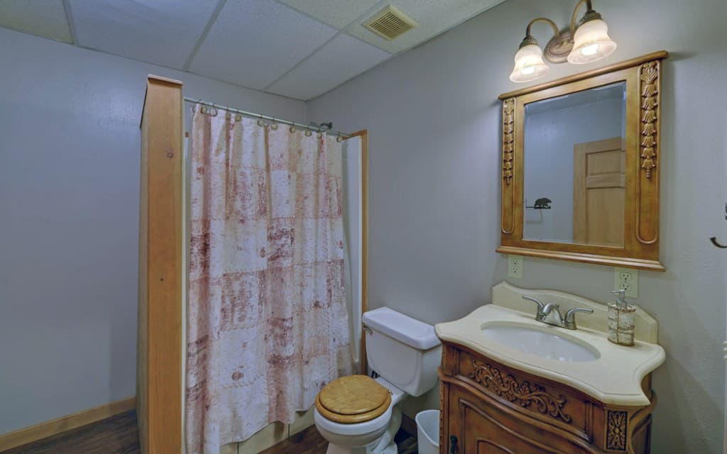 230 Pine Forest Loop, Blue Ridge GA 30513 - Photo