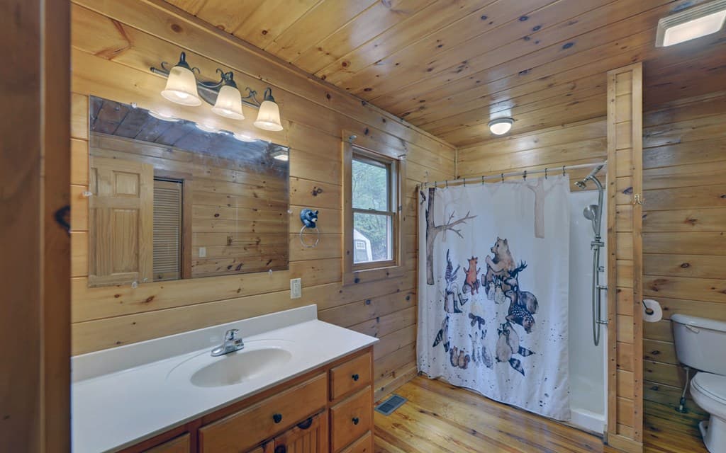 230 Pine Forest Loop, Blue Ridge GA 30513 - Photo