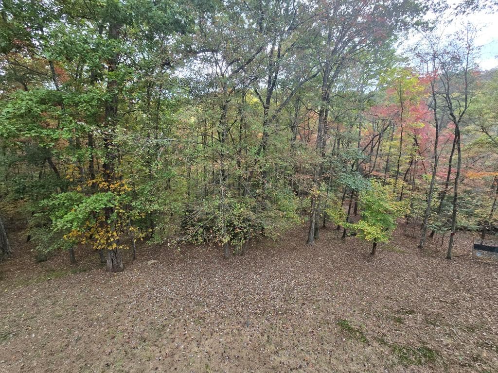 230 Pine Forest Loop, Blue Ridge GA 30513 - Photo