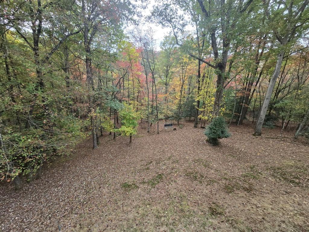 230 Pine Forest Loop, Blue Ridge GA 30513 - Photo