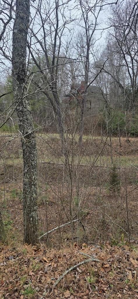 205 Posey Place, Murphy NC 28906 - Photo