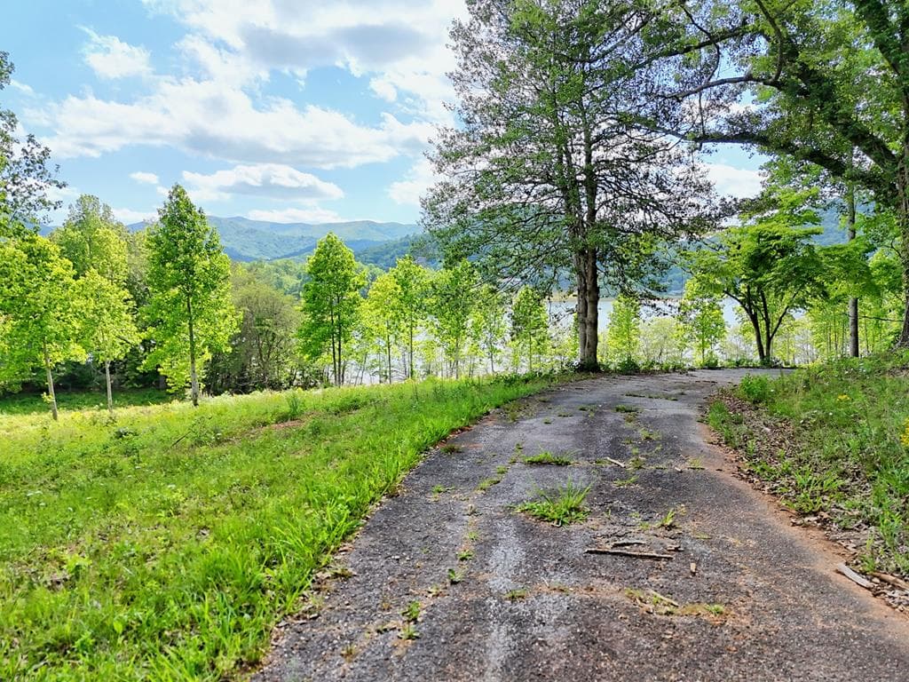 314 Lakeside Drive, Hiawassee GA 30546 - Photo