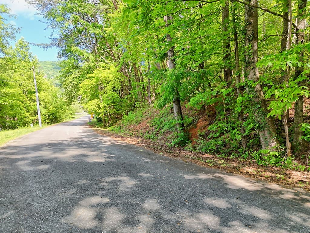 314 Lakeside Drive, Hiawassee GA 30546 - Photo