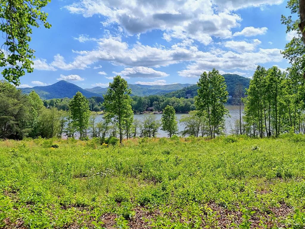 314 Lakeside Drive, Hiawassee GA 30546 - Photo