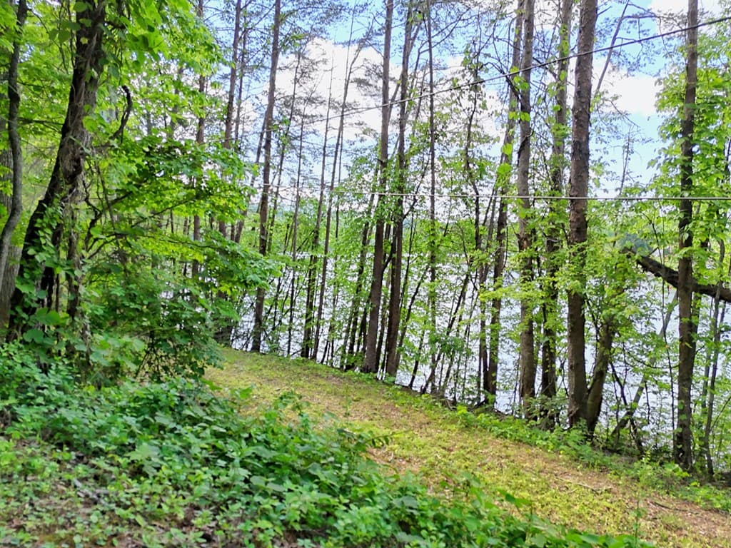 314 Lakeside Drive, Hiawassee GA 30546 - Photo