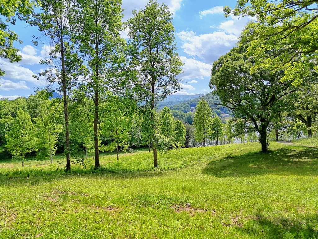 314 Lakeside Drive, Hiawassee GA 30546 - Photo