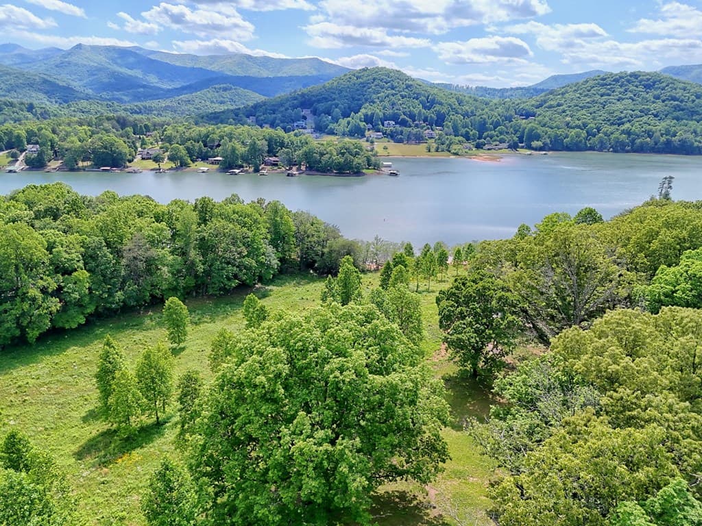 314 Lakeside Drive, Hiawassee GA 30546 - Photo