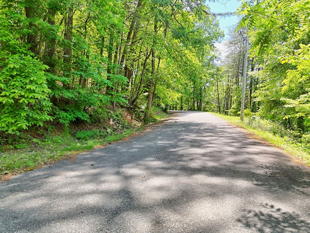 314 Lakeside Drive, Hiawassee GA 30546 - Photo