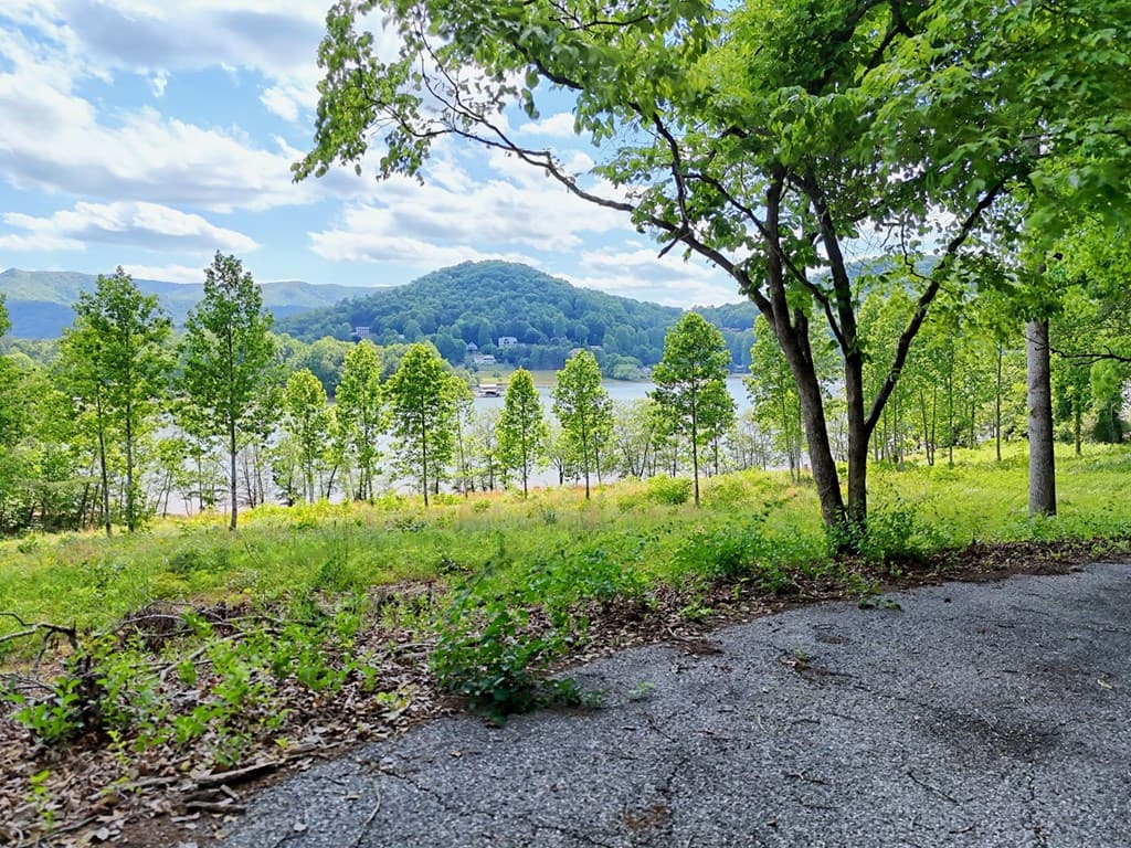 314 Lakeside Drive, Hiawassee GA 30546 - Photo