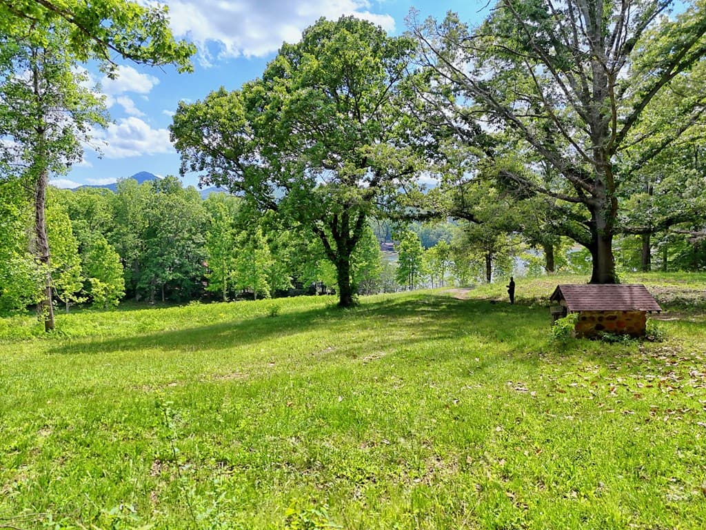 314 Lakeside Drive, Hiawassee GA 30546 - Photo