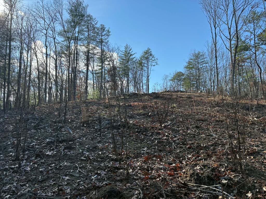 Lot 86 Lookout Ridge, Mineral Bluff GA 30559 - Photo