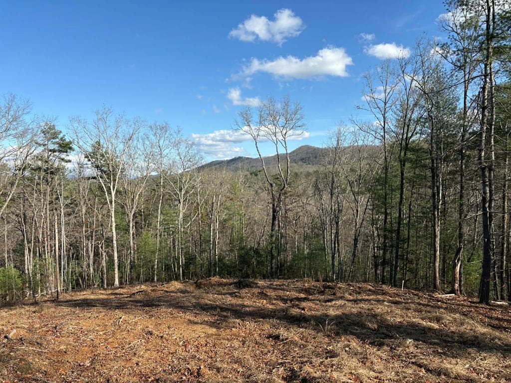 Lot 86 Lookout Ridge, Mineral Bluff GA 30559 - Photo