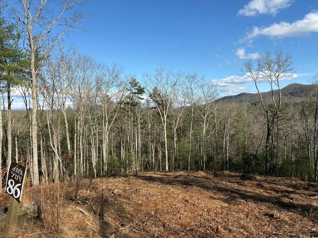 Lot 86 Lookout Ridge, Mineral Bluff GA 30559 - Primary photo