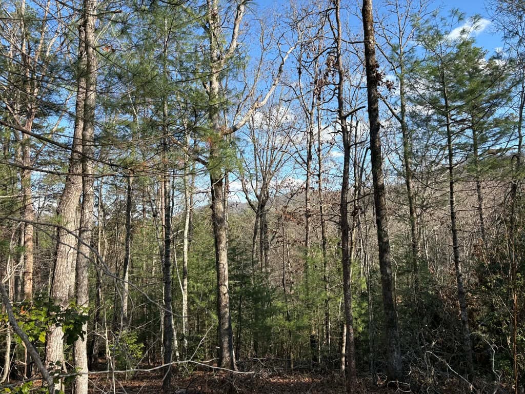 Lot 86 Lookout Ridge, Mineral Bluff GA 30559 - Photo