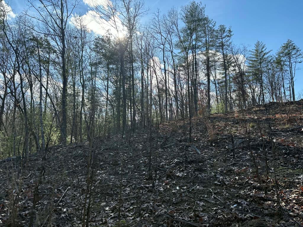 Lot 86 Lookout Ridge, Mineral Bluff GA 30559 - Photo